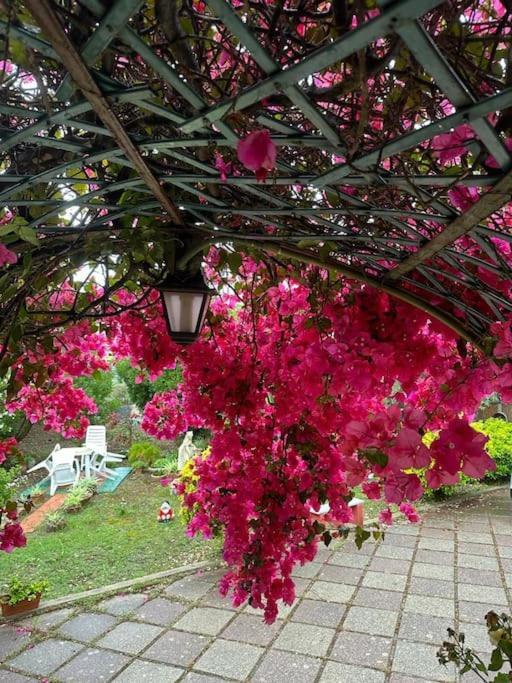 Casa Vacanze La Brii Iglesias Zewnętrze zdjęcie
