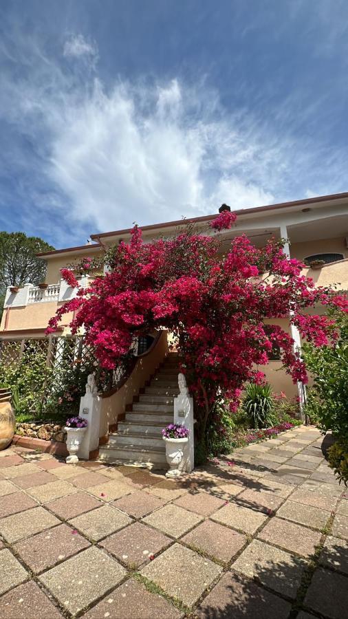 Casa Vacanze La Brii Iglesias Zewnętrze zdjęcie